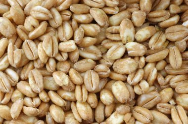 Farro tahıl