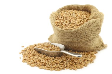 Farro tahıl bir çuval bezi çanta