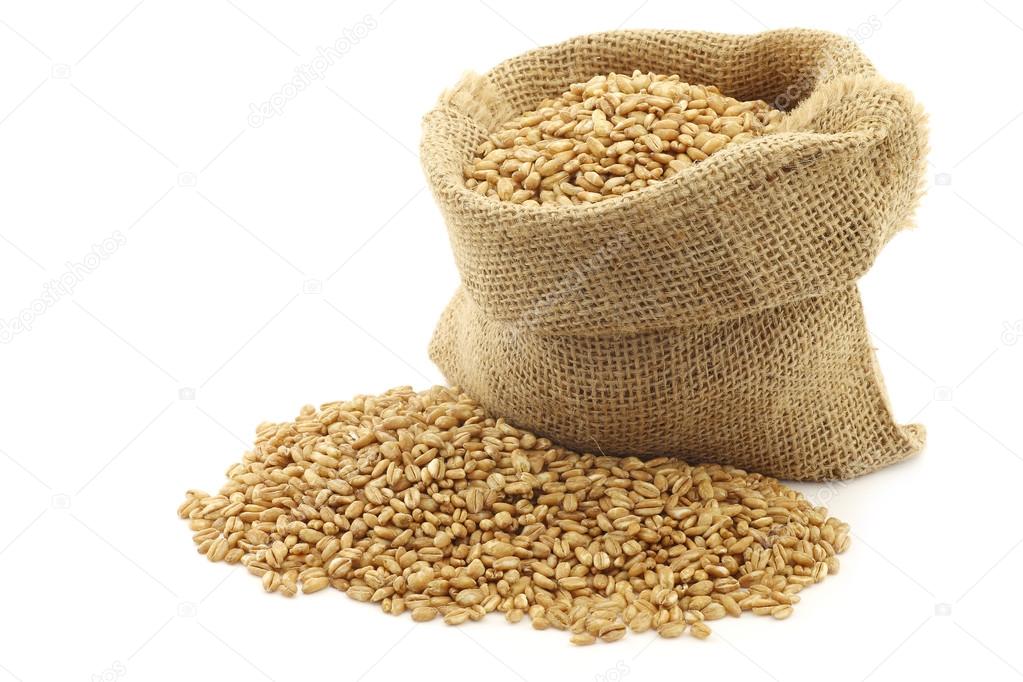 Farro grain in a burlap bag