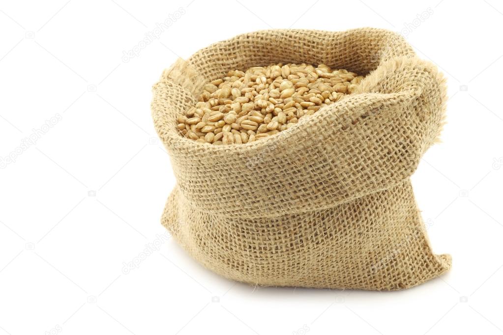 Farro grain in a burlap bag