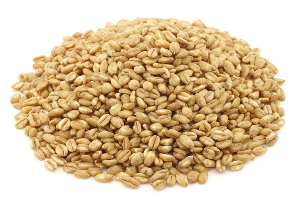 Farro grain — Stock Photo, Image