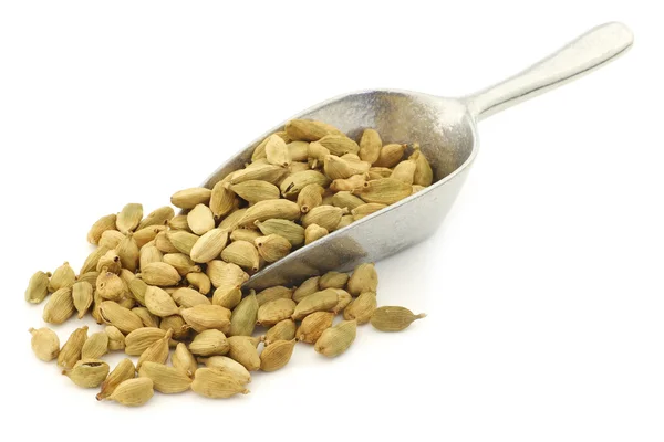 Cardamom seeds on an aluminum scoop — Stock Photo, Image