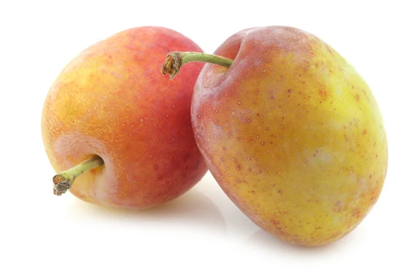 Fresh ripe red and yellow plums — Stock Photo, Image