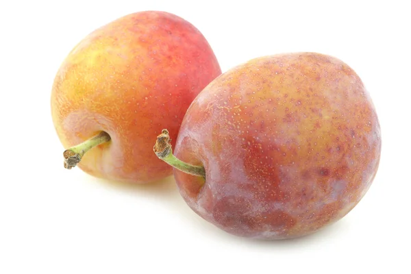 Fresh ripe red and yellow plums — Stock Photo, Image