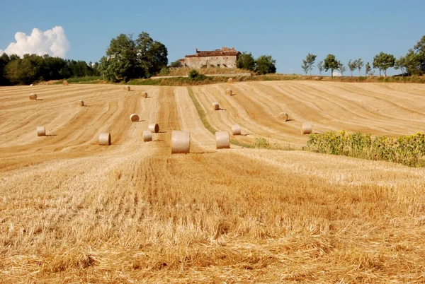 Récolte en Toscane — Photo