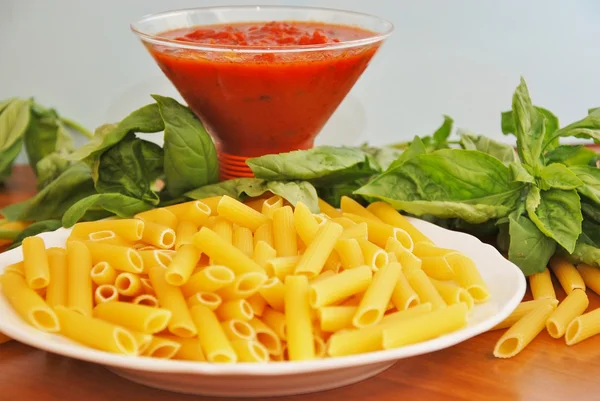 Penne pasta tomate una albahaca — Foto de Stock