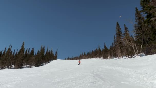 Erfahrener Skifahrer schwingt sich im Winter auf Skiern einen Hang in den Bergen hinunter — Stockvideo