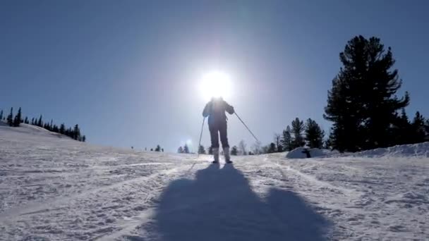 Güneşli bir kış günü, dağlık bölgede kayak yapan siluet kayakçısı. — Stok video