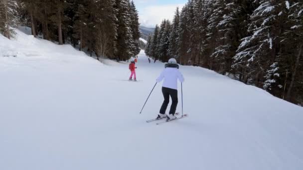 Przyjaciele Narciarze świetnie się bawią na nartach w górach Snow Ski Slope — Wideo stockowe