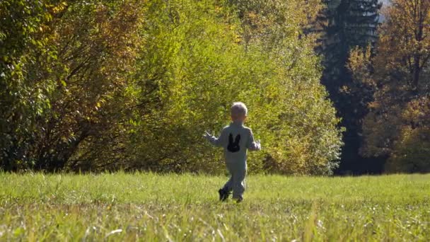Funny Small Child Runs Down Slide On Green Field On Autumn Sunny Day — Video Stock