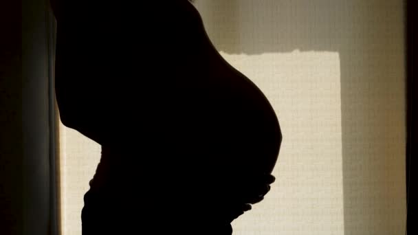 Silhouet van zwangere vrouw staat bij het raam en slaat haar maag — Stockvideo