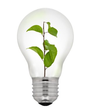 yeşil enerji ampul