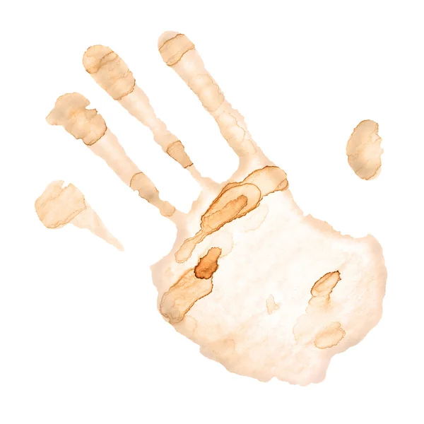 Coffee Stain Palm — Stock Photo, Image