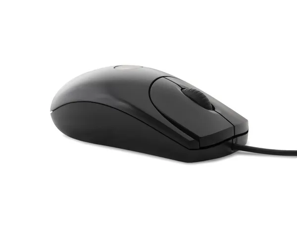 Computer mouse — Stock Photo, Image