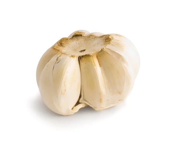 Knoblauch — Stockfoto