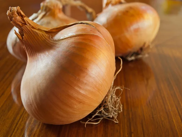 Zwiebeln — Stockfoto