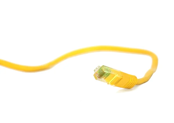 Yellow Network Cable Royalty Free Stock Images