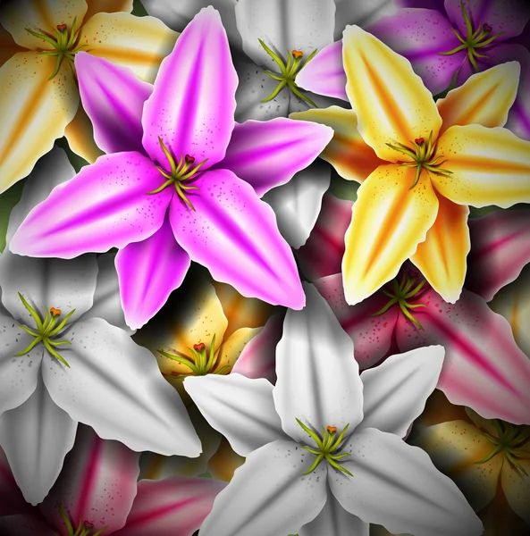 Tło z kolorowych lilii — Wektor stockowy
