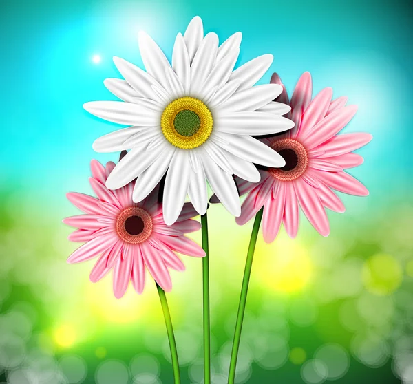 Natuurlijke achtergrond met gerbera 's — Stockvector