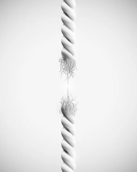 14,886,390 Rope and stone Vector Images | Depositphotos