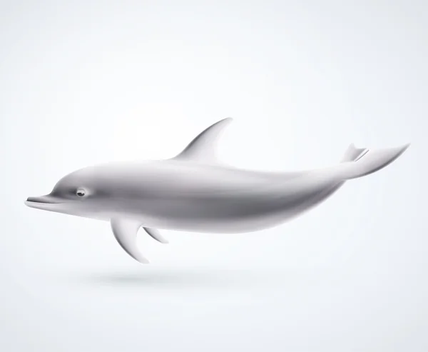 Delfín aislado — Vector de stock