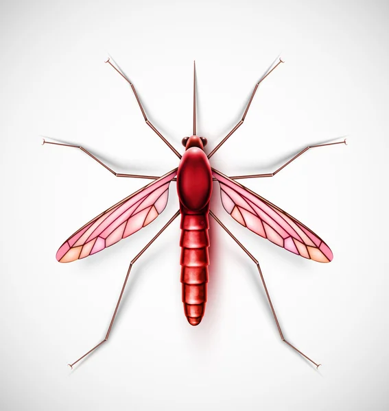 One isolated mosquito, eps 10 — Stock Vector
