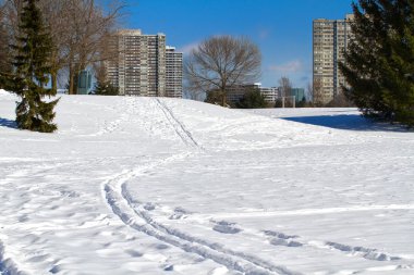 Toronto kış sabahı
