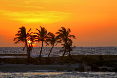 riviera maya Sunrise