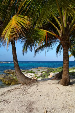 Riviera maya