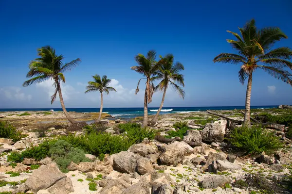 Desert island — Stock Photo, Image