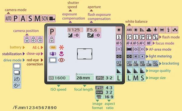 Digitale camera menu voor leren of vertegenwoordigen - twee lagen — Stockvector