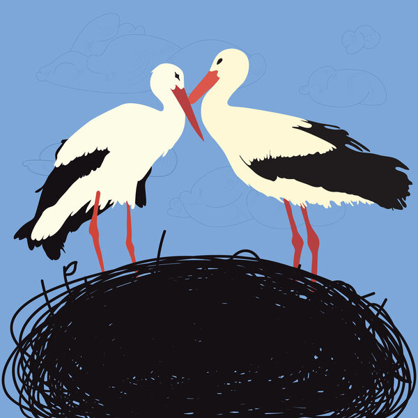Storks in nest