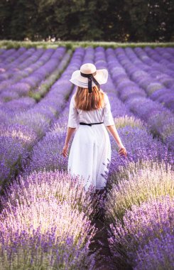 Lavanta tarlasında güzel bir yabancı, yaz rüzgarı saçlarını savuruyor, ellerinde lavanta buketi
