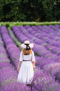 Lavanta tarlasında güzel bir yabancı, yaz rüzgarı saçlarını savuruyor, ellerinde lavanta buketi