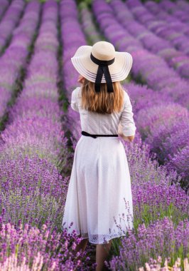 Lavanta tarlasında güzel bir yabancı, yaz rüzgarı saçlarını savuruyor, ellerinde lavanta buketi