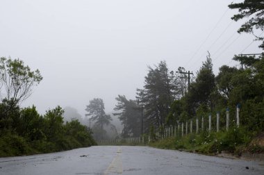 Sisli bir günde ağaçların olduğu kırsal bölge. Araba yok. 
