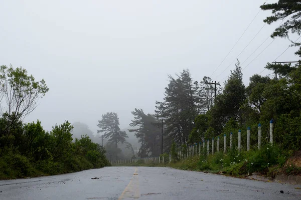 Zona Rural Con Árboles Día Niebla Hay Coche — Foto de Stock