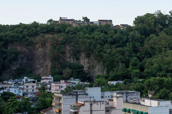 브라질 리우데자네이루 2022 이사벨 지구에 밀도가 지역의 — 스톡 사진