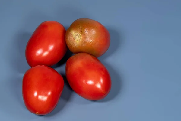 Pomidor Jeden Produktów Składających Się Elementów Brazylijskiego Podstawowego Koszyka Żywnościowego — Zdjęcie stockowe