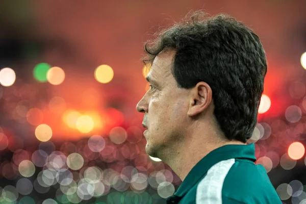 Rio Brazil August 2022 Fernando Diniz Coach Match Fluminense Fortaleza — Foto Stock