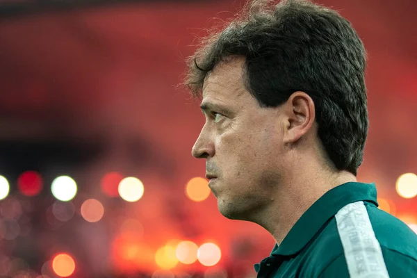 Rio Brazil August 2022 Fernando Diniz Coach Match Fluminense Fortaleza — Fotografia de Stock