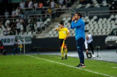 Rio, Brezilya - 03 Ekim 2022: Maracana Stadyumu 'nda düzenlenen Brezilya Şampiyonası' nda Bptafogo-Palmeiras maçında Abel Ferreira teknik direktörü