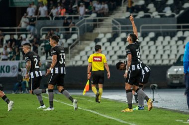 Rio, Brezilya - Ekim 03, 2022: Tiquinho Soares, Maracana Stadyumu 'nda Bptafogo ve Palmeiras arasında oynanan maçta Brezilya Şampiyonası' nın 29.