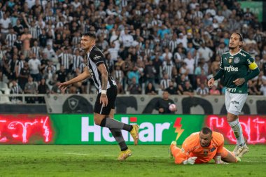 Rio, Brezilya - Ekim 03, 2022: Tiquinho Soares, Maracana Stadyumu 'nda Bptafogo ve Palmeiras arasında oynanan maçta Brezilya Şampiyonası' nın 29.