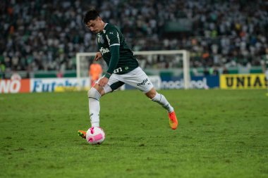 Rio, Brezilya - Ekim 03, 2022: Maracana Stadyumu 'nda oynanan Brezilya Şampiyonası' nda Bptafogo-Palmeiras maçında Piquerez oyuncusu