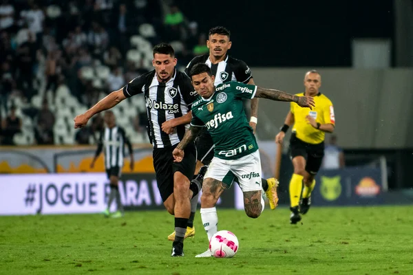 Rio Brazilië Oktober 2022 Wedstrijd Tussen Bptafogo Palmeiras Door Ronden — Stockfoto