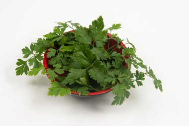 Kimsesiz bir kasede maydanoz..