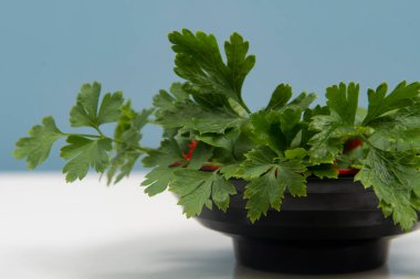 Kimsesiz bir kasede maydanoz..