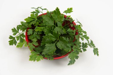 Kimsesiz bir kasede maydanoz..