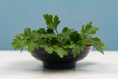 Kimsesiz bir kasede maydanoz..